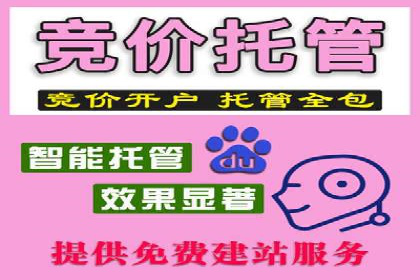 行业巨头的SEM广告投放策略揭秘